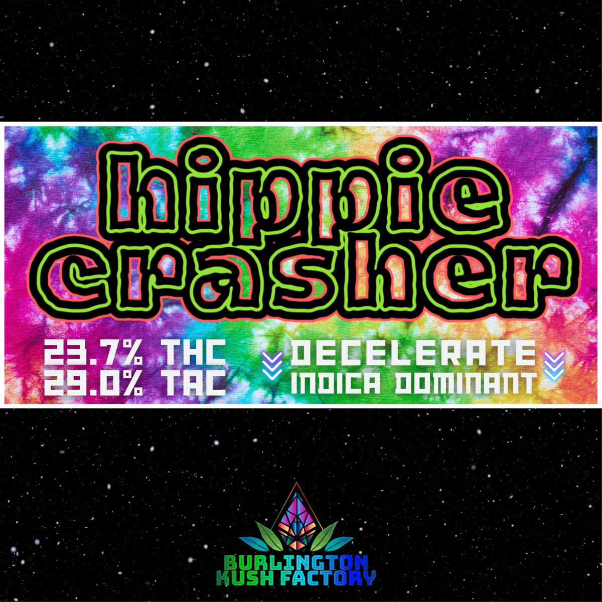 Hippie Crasher at True 802 Cannabis