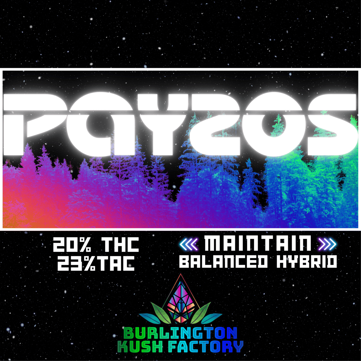 Payzos at True 802 Cannabis