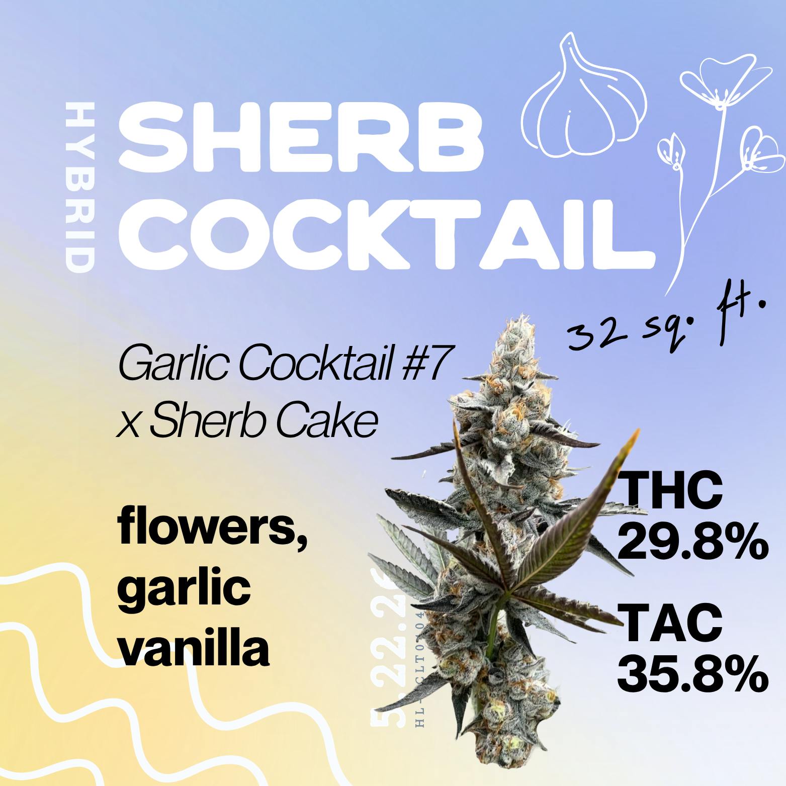 Sherb Cocktail at True 802 Cannabis