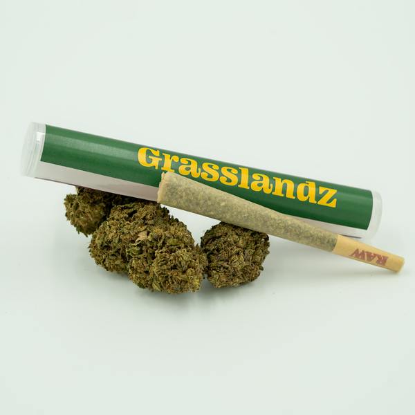 Grasslandz Glue 31 Pre-Roll 1 G