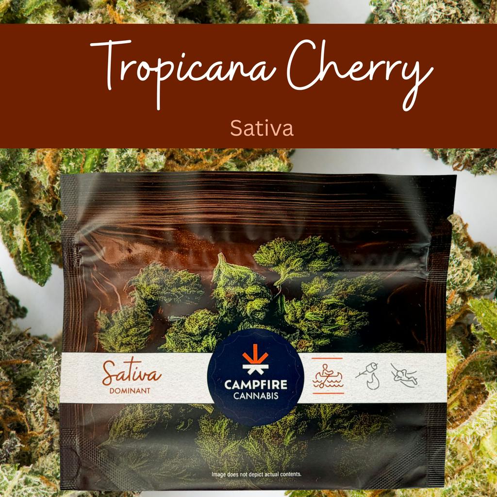 Campfire Cannabis Tropicana Cherry Flower 4g