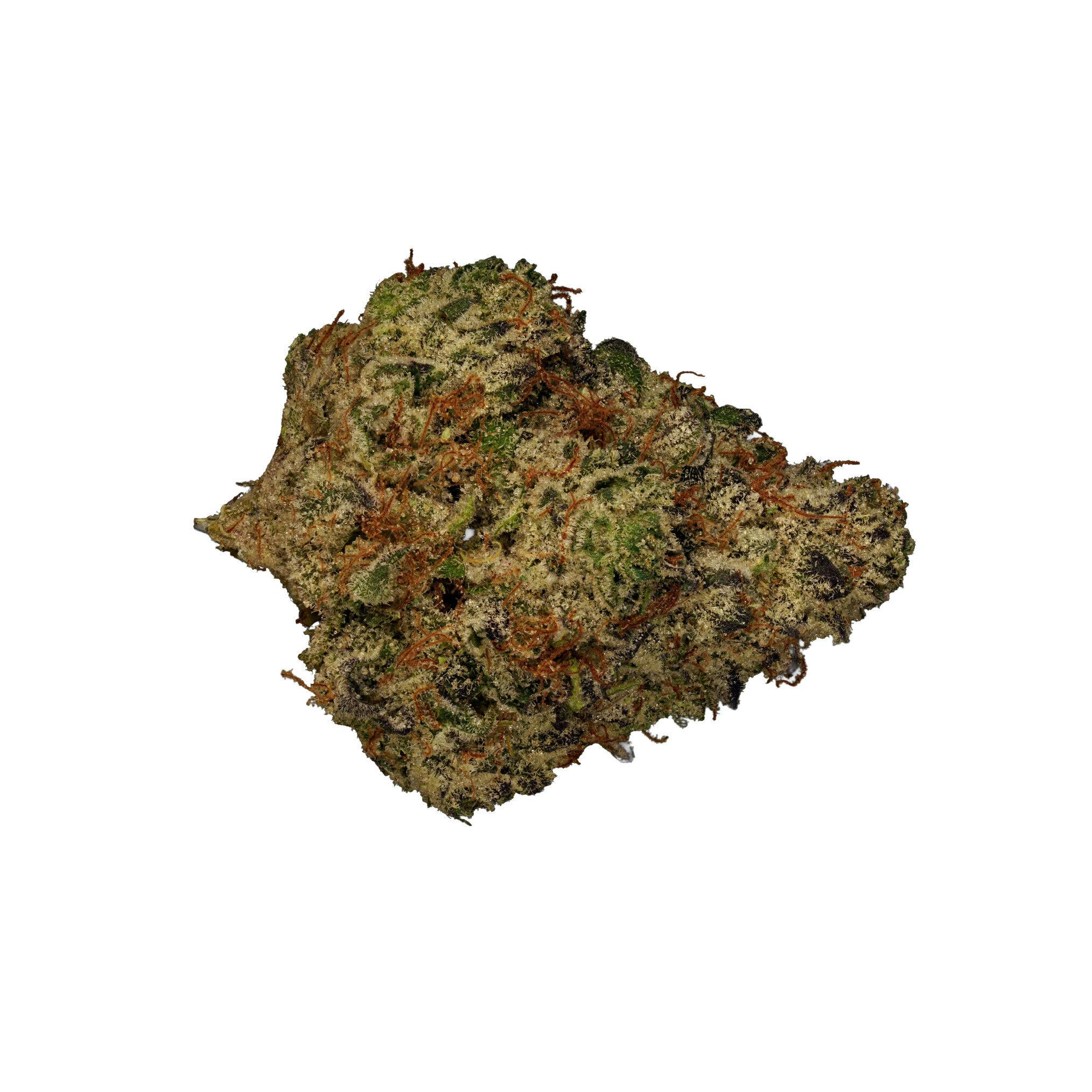 White Fuel Flower