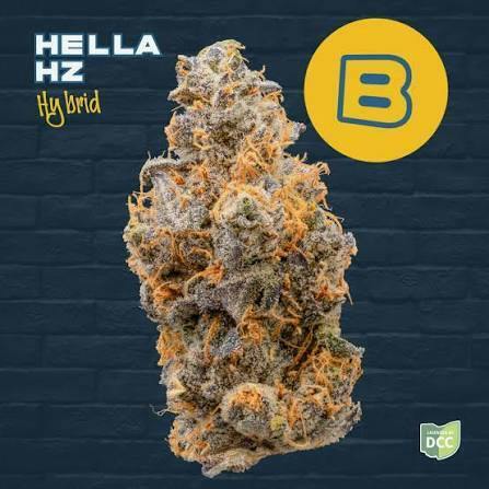 Hella Hz Flower - 1319204