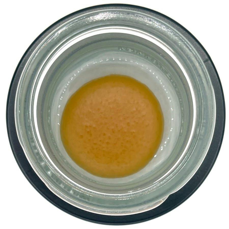 Peach Crescendo #1 Sugar - REC