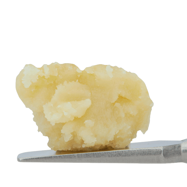 PISTIL WHIP - — Motor Breath X Banana Punch