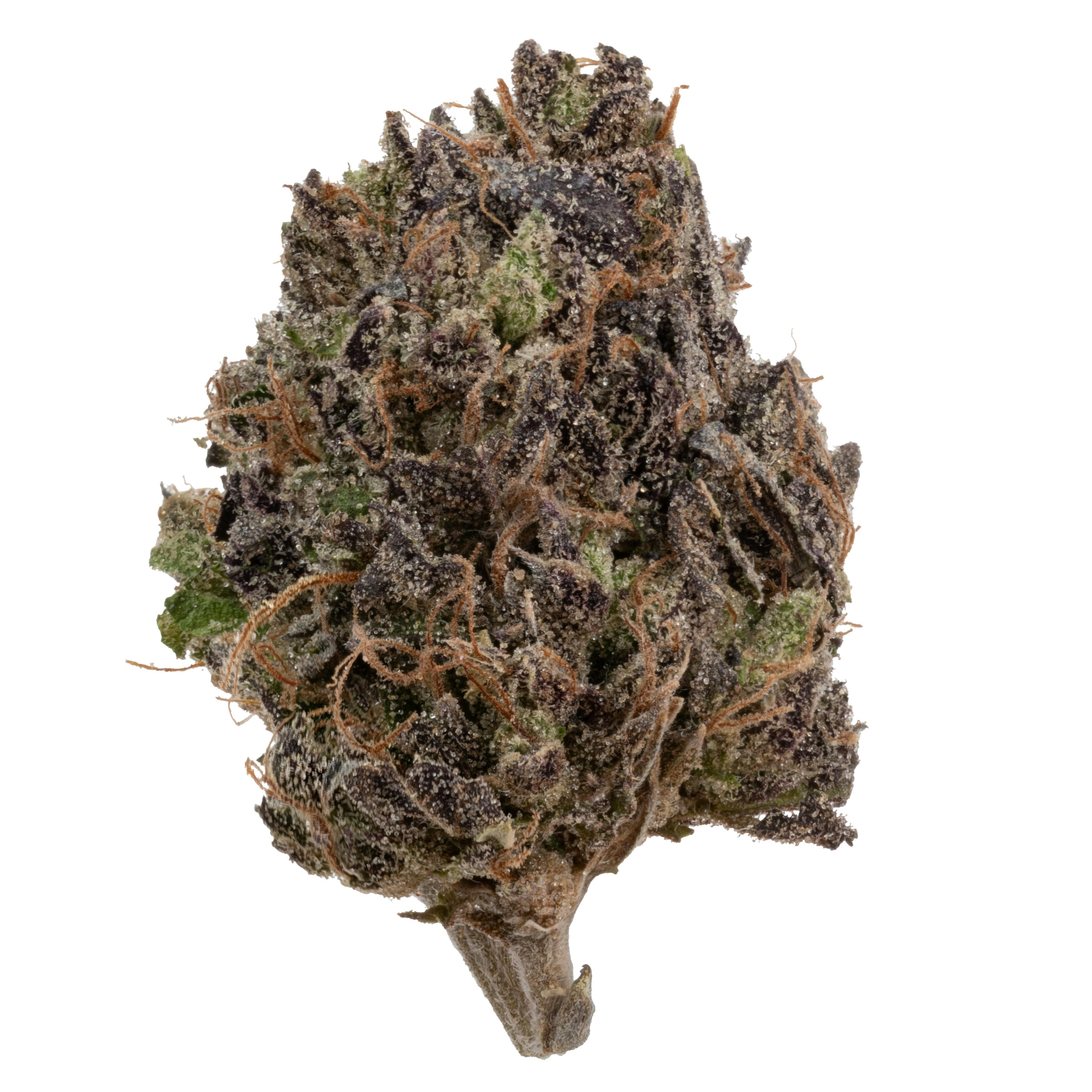 Jack Herer | Flower