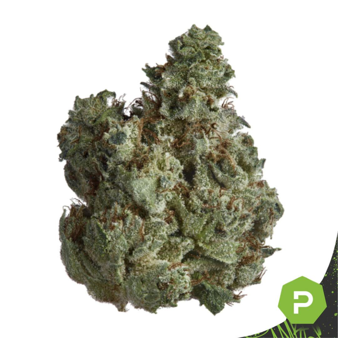 Goldkine | Private Banana