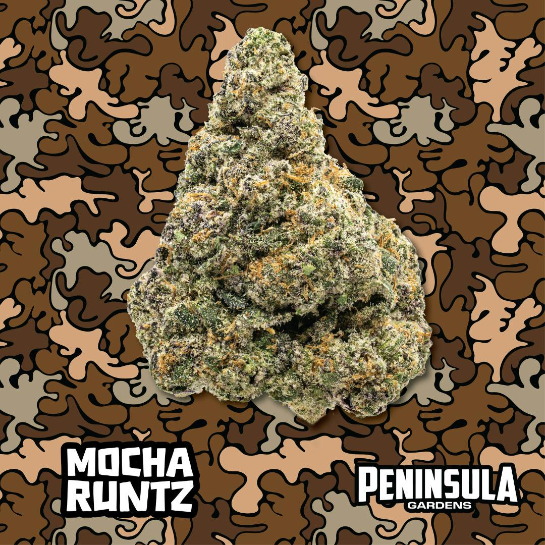 Peninsula Gardens | Mocha Runtz