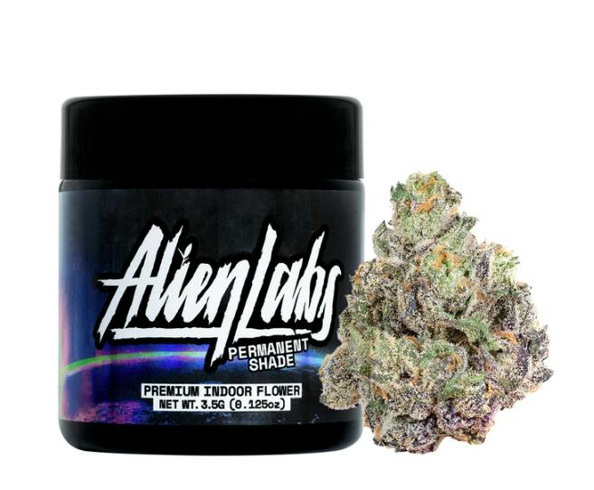 ALIEN LABS - PERMANENT SHADE- 3.5G - ITEM #499PS