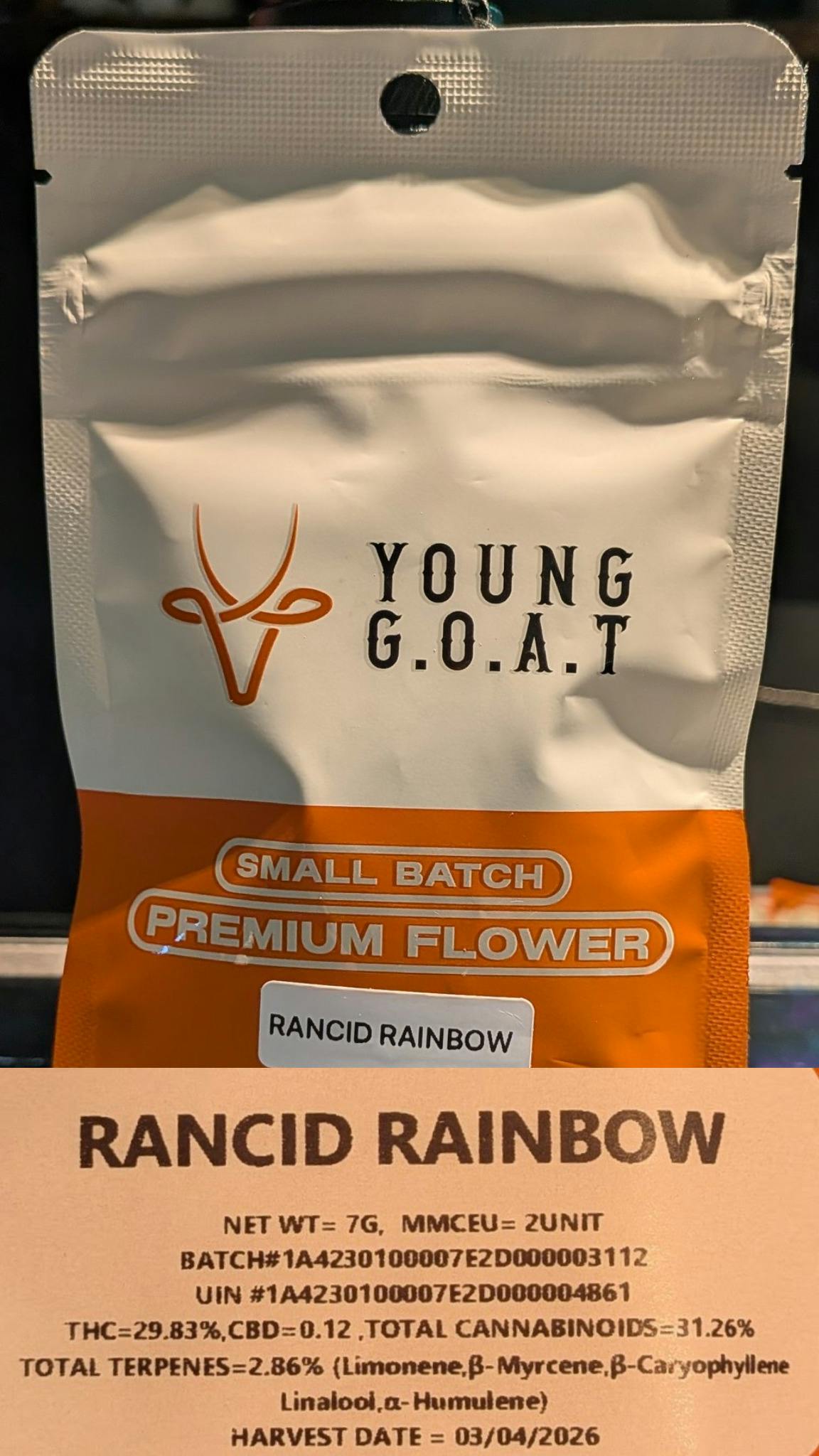 Rancid Rainbow | 7g | Young Goat