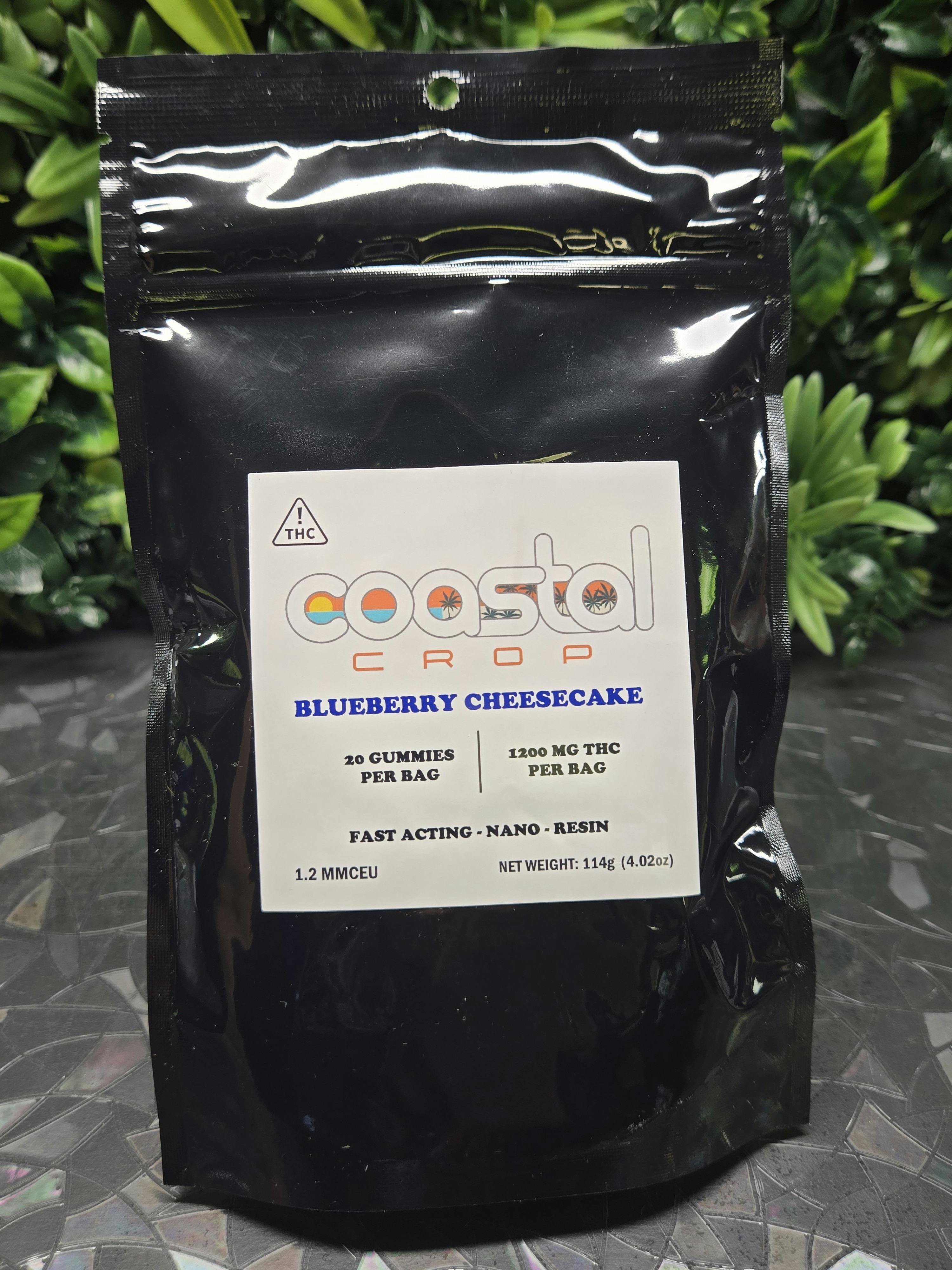 Blueberry Cheesecake | 1200mg | Coastal Crop