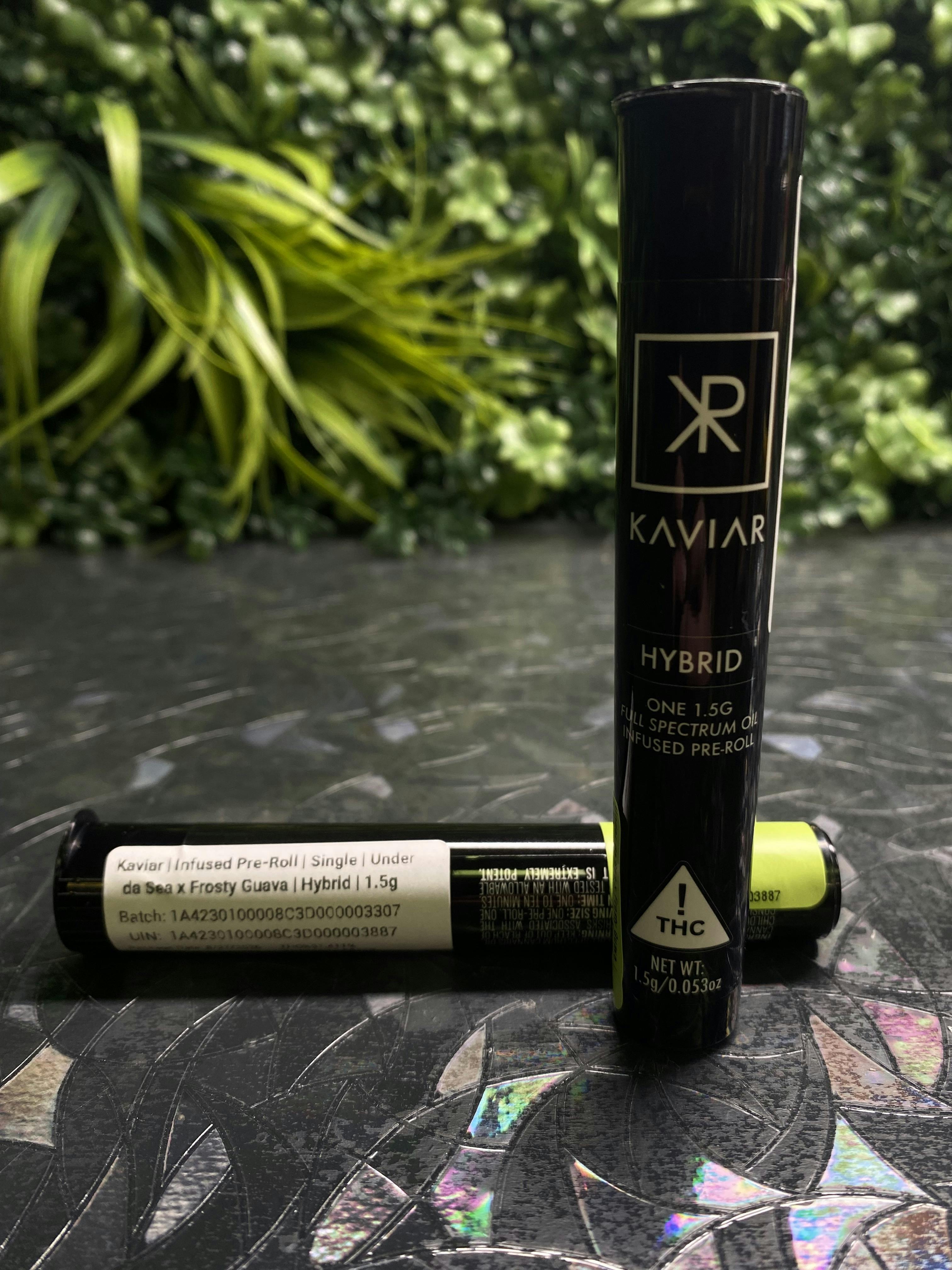 Under da Sea x Frosty Guava | 1.5g Infused Preroll | Kaviar