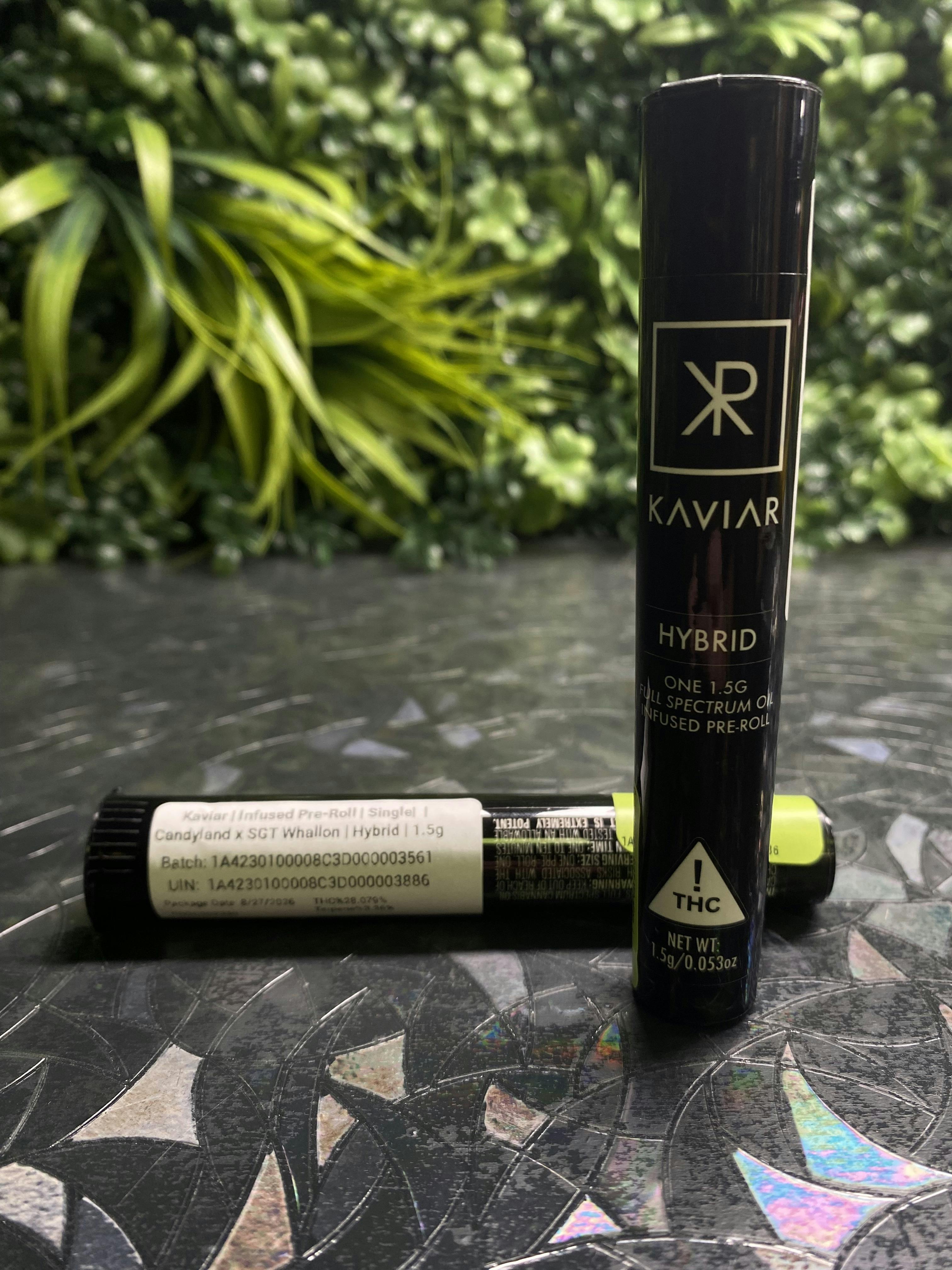 Candyland x SGT Whallon | 1.5g Infused Preroll | Kaviar
