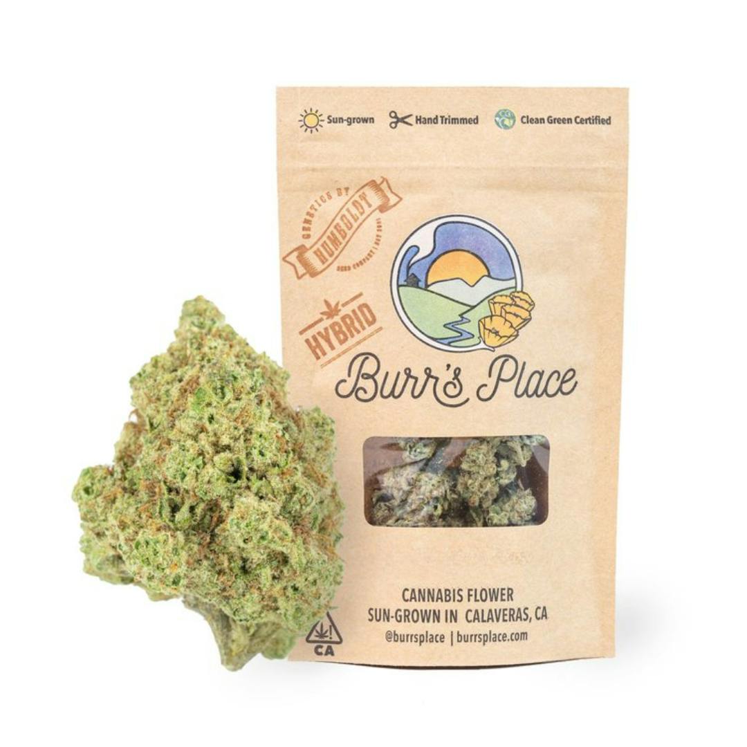 MACAROON (H) — MACAROON (H) SMALLS 3.5G