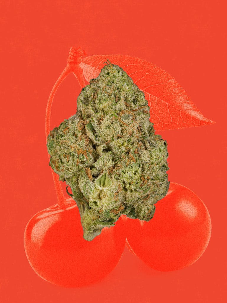 CEREZA Limon (H): 3.5 g