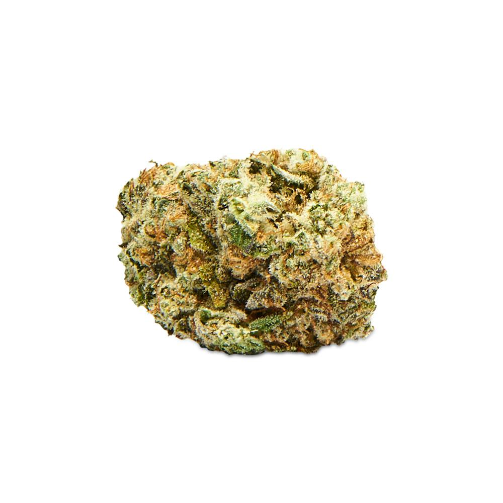 Highway Hotel: Flower | Futura Haze