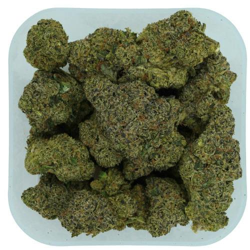 Westfield Flower Lemon Cherry Gelato x Z Animal #9