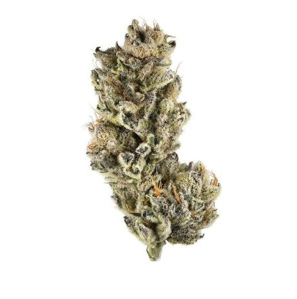 Deli Style Emerald Tier - Purple Gushers cannabis product