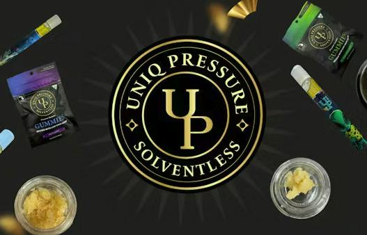 Uniq 200mg Hash Rosin Gummies - Strawberry Four Fiddys
