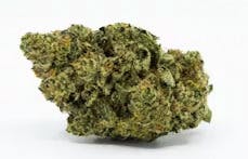 Deli Style Premium Spotlight- Gratiot Gold