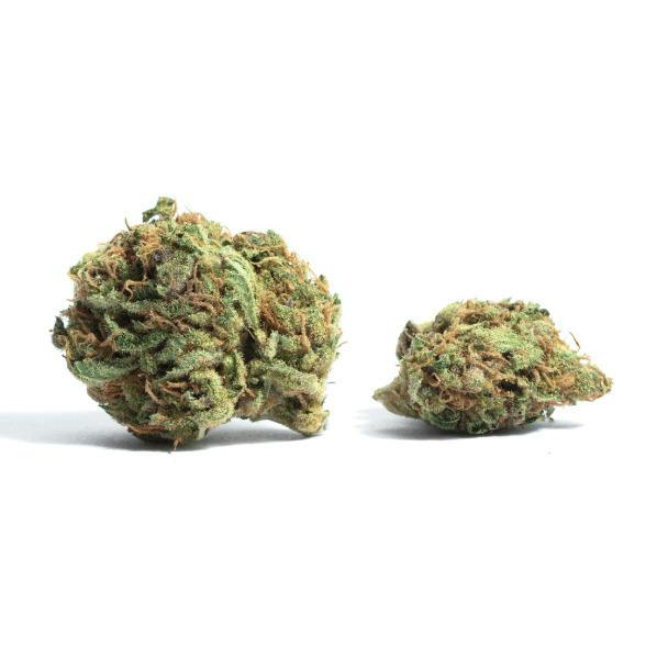Deli Style Value Tier - Mai Tai Smalls at NOXX Cannabis 28th St. - Grand Rapids Dispensary