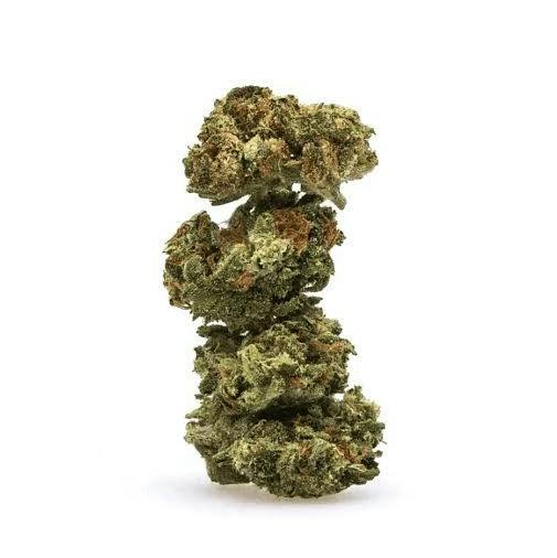 Deli Style Value Tier - Gelato 69 Smalls