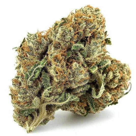 Deli Style Emerald Tier - Delicata Cookies cannabis product