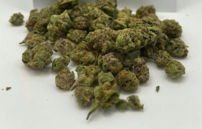 Deli Style Value Tier - Black Amber Smalls at Cookies Grand Rapids Dispensary