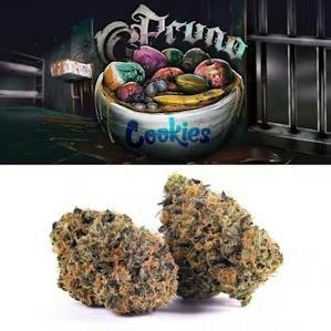 Deli Style Premium Spotlight- Pruno Gas