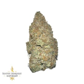 Exotic - SUPERBOOF