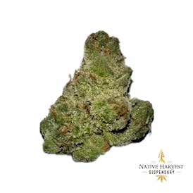 Premium - Banana Candy x Apples Bananas