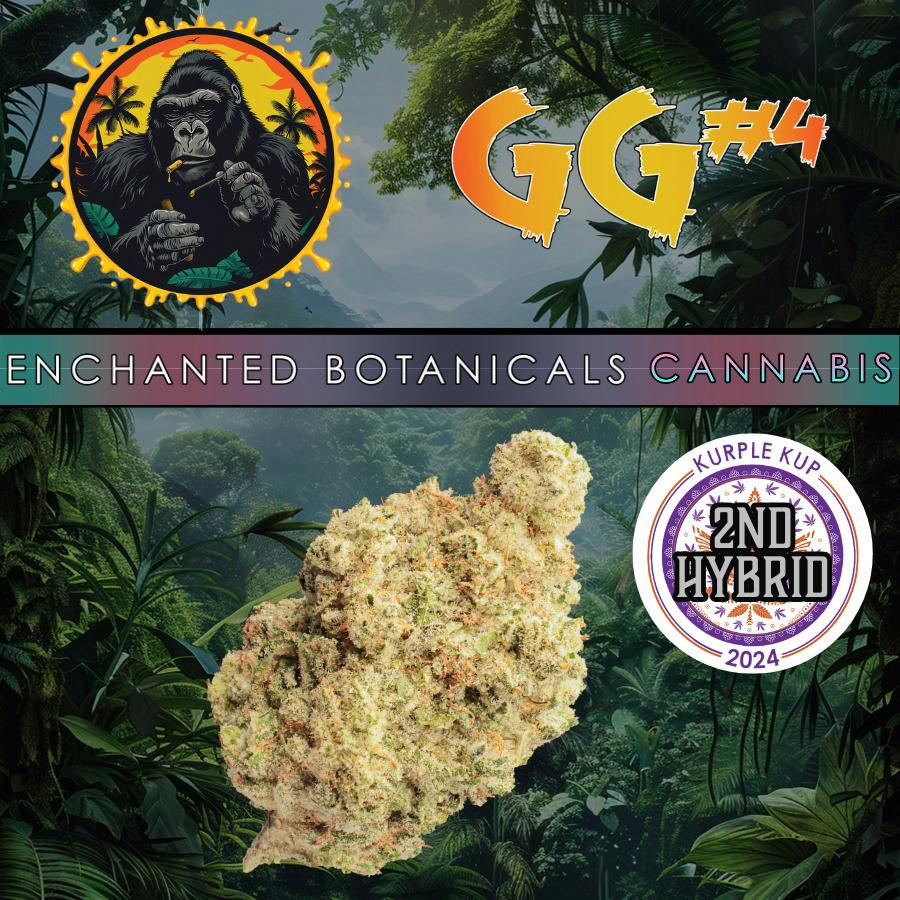 Flower GG#4 (H) Live Weigh