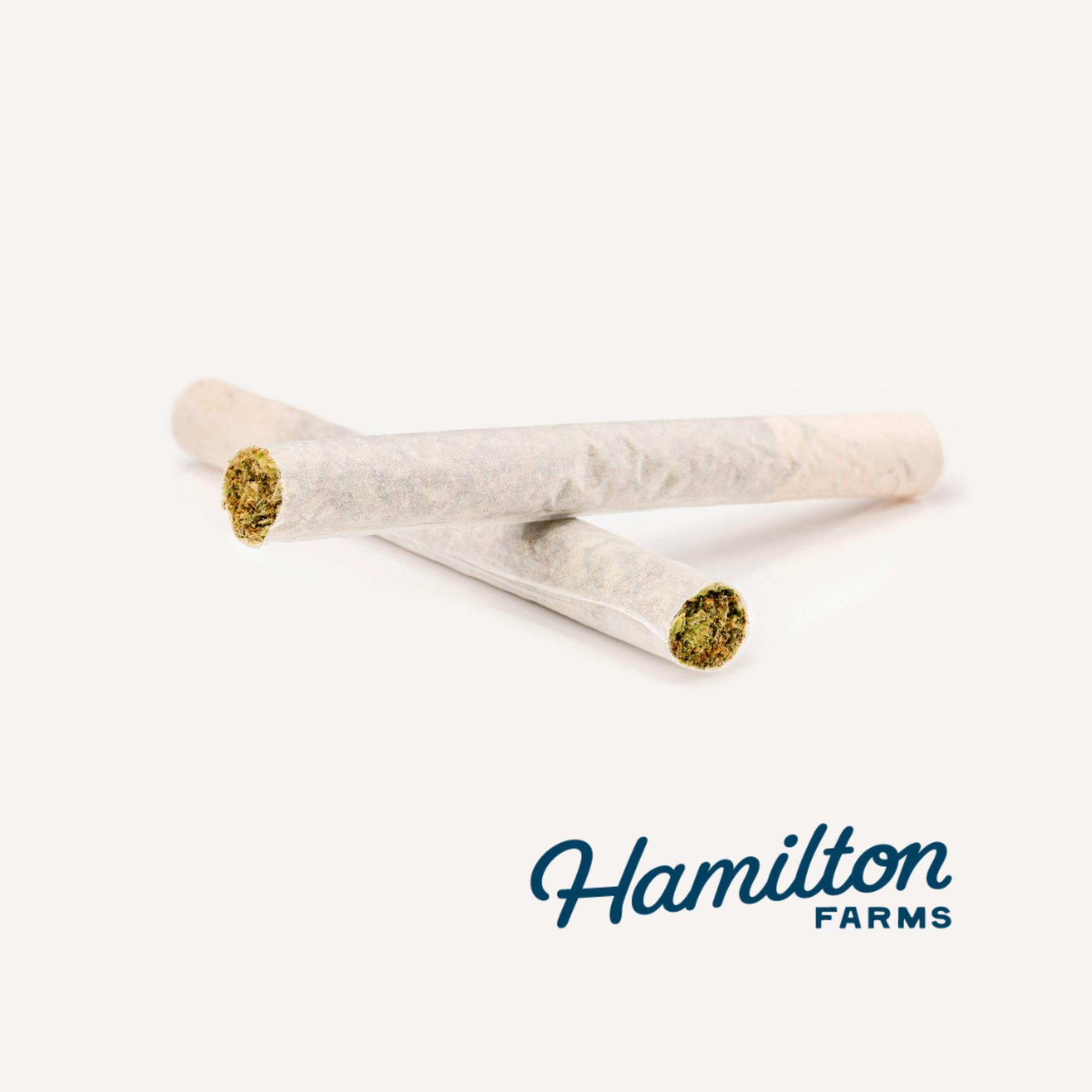 Hamilton Farms | Grape Rock Candy | 1g Pre-Roll