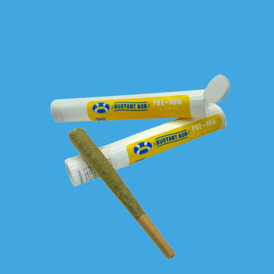 Bob's | Yardii Cookies | 1g Pre-roll at Treeotics