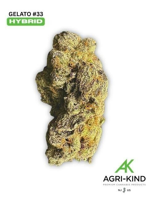 Agri-Kind | Gelato #33 | 1g Dime at Treeotics