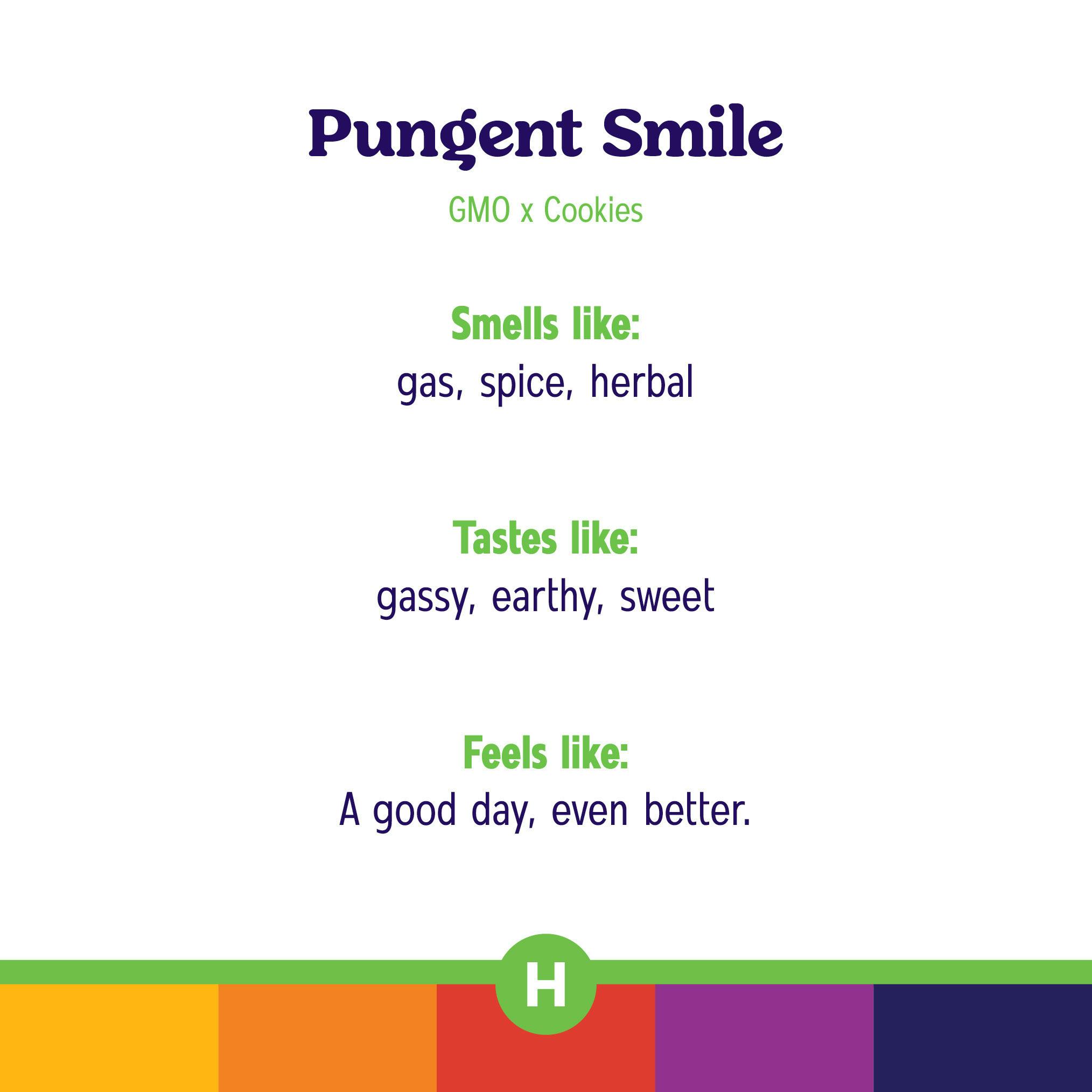 Pungent Smile Ground Flower