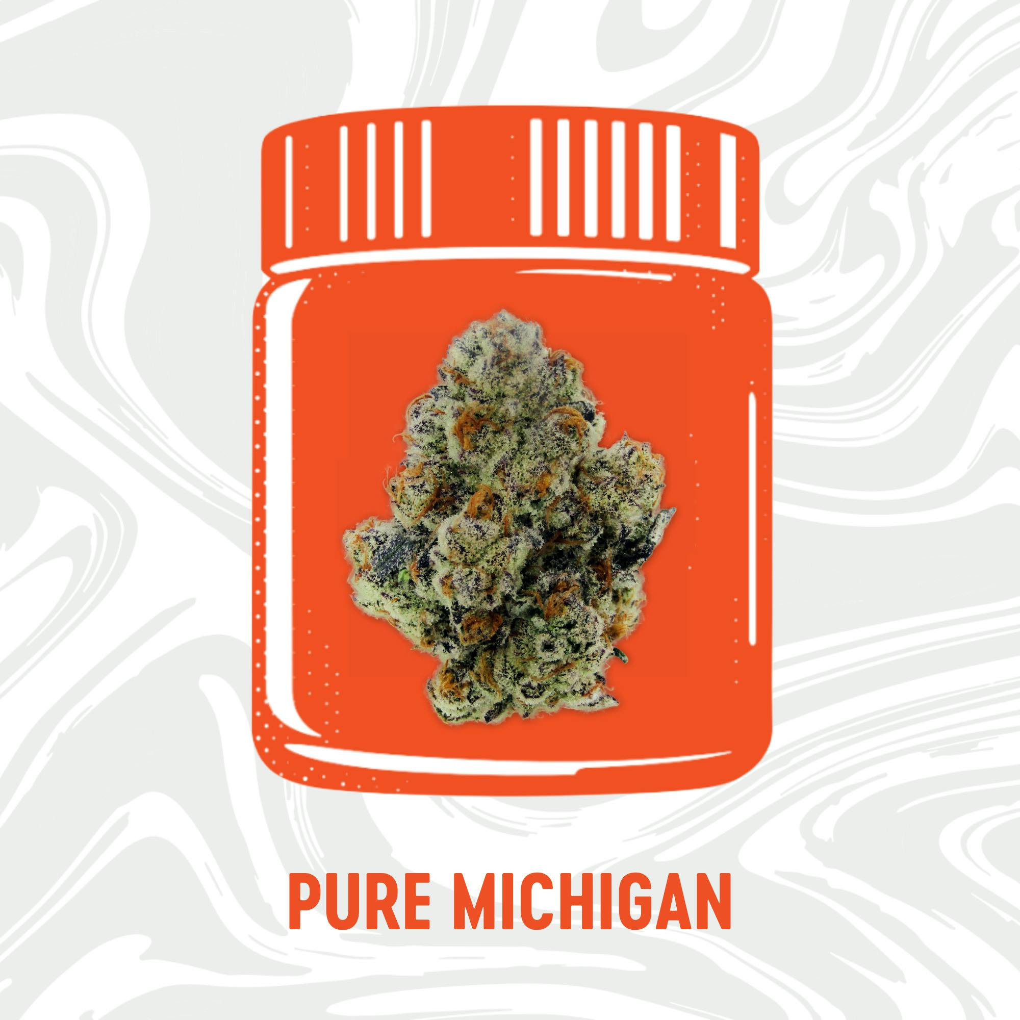 Vivid: Pure Michigan