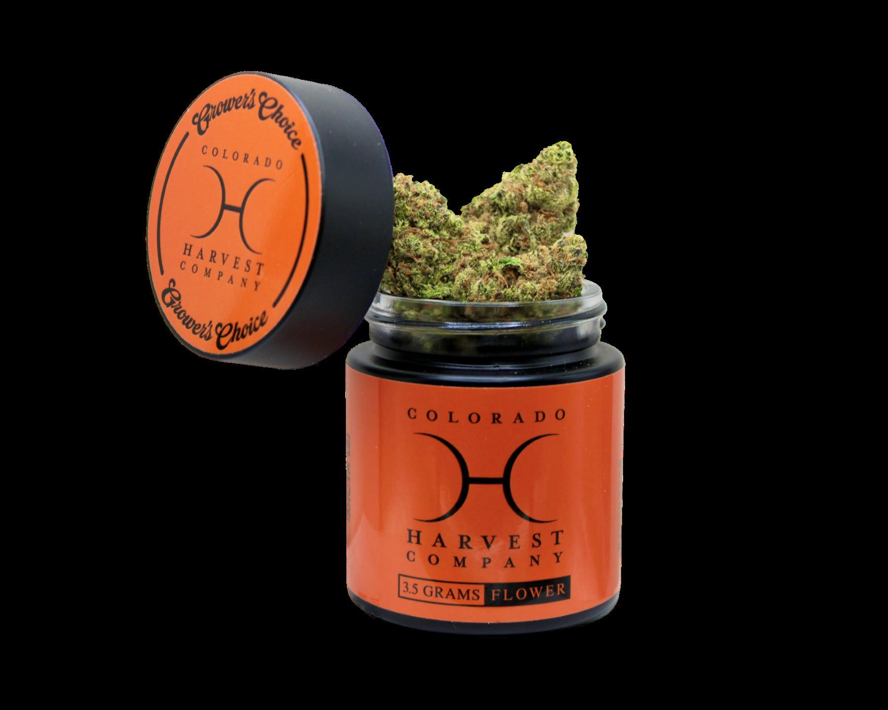 Maple Fumez |Pre Pack 3.5g|CHC