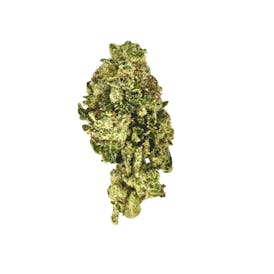Higher Union - Cherry Ghostenade - Flower