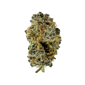 Higher Union - Garlic Breath - Flower