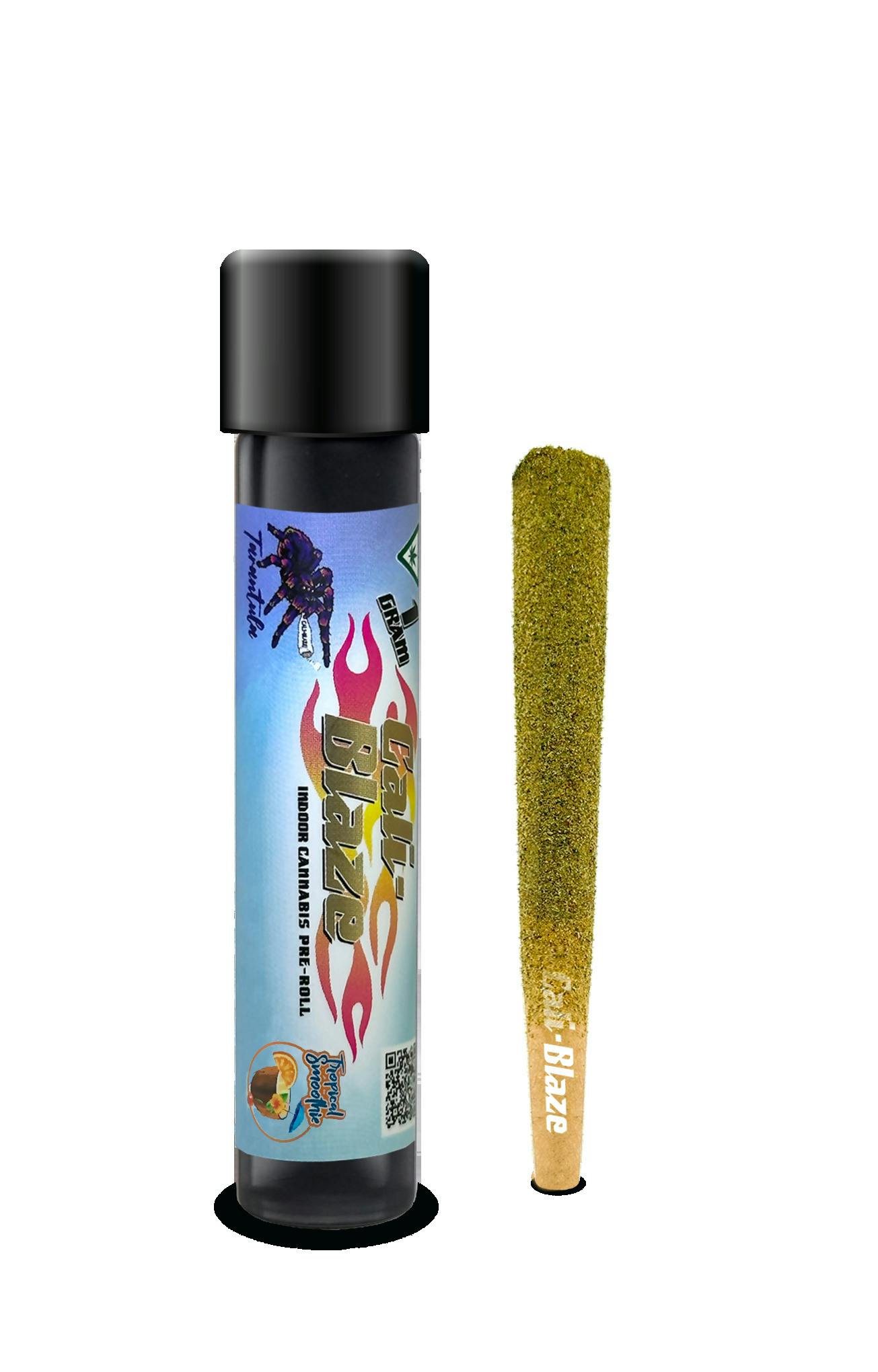 Cali Blaze Tropical Smoothie Infused Pre-roll at Chelsea Bud