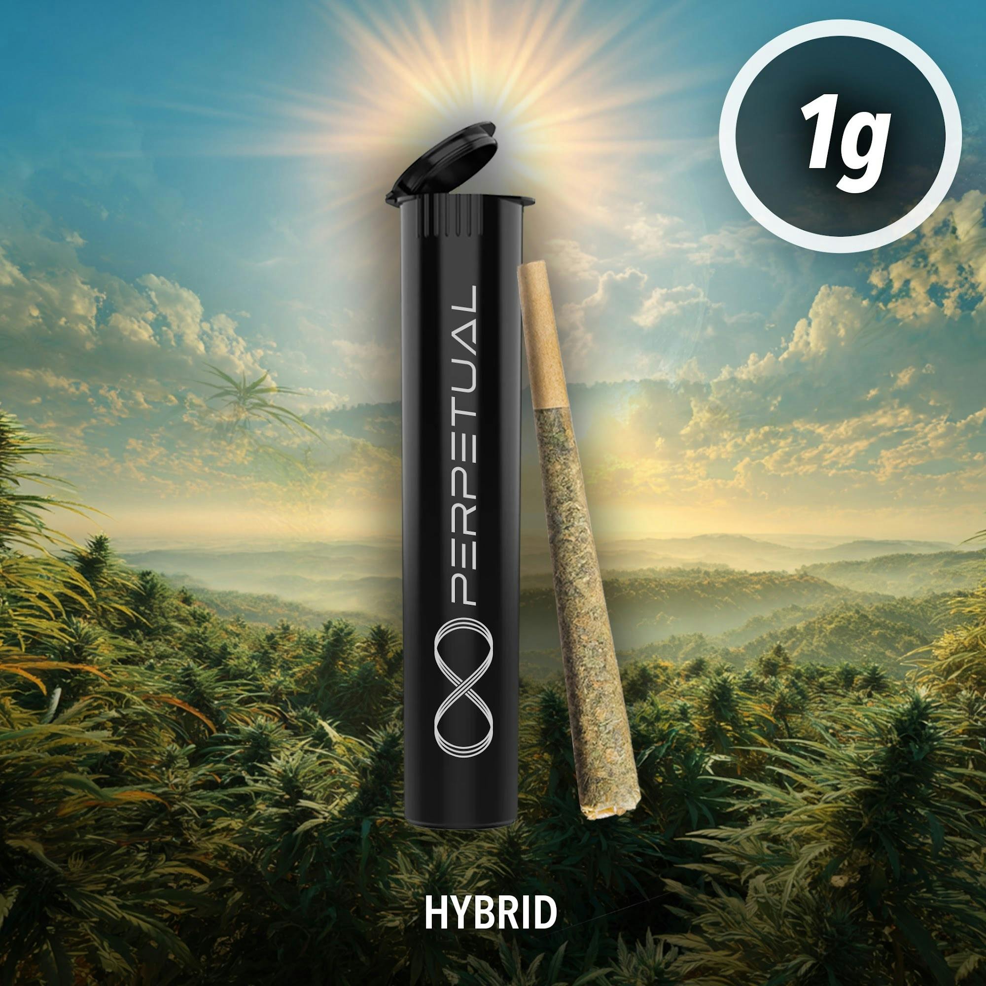 Perpetual Air Tight #3 - PRC Pre-Roll at Chelsea Bud