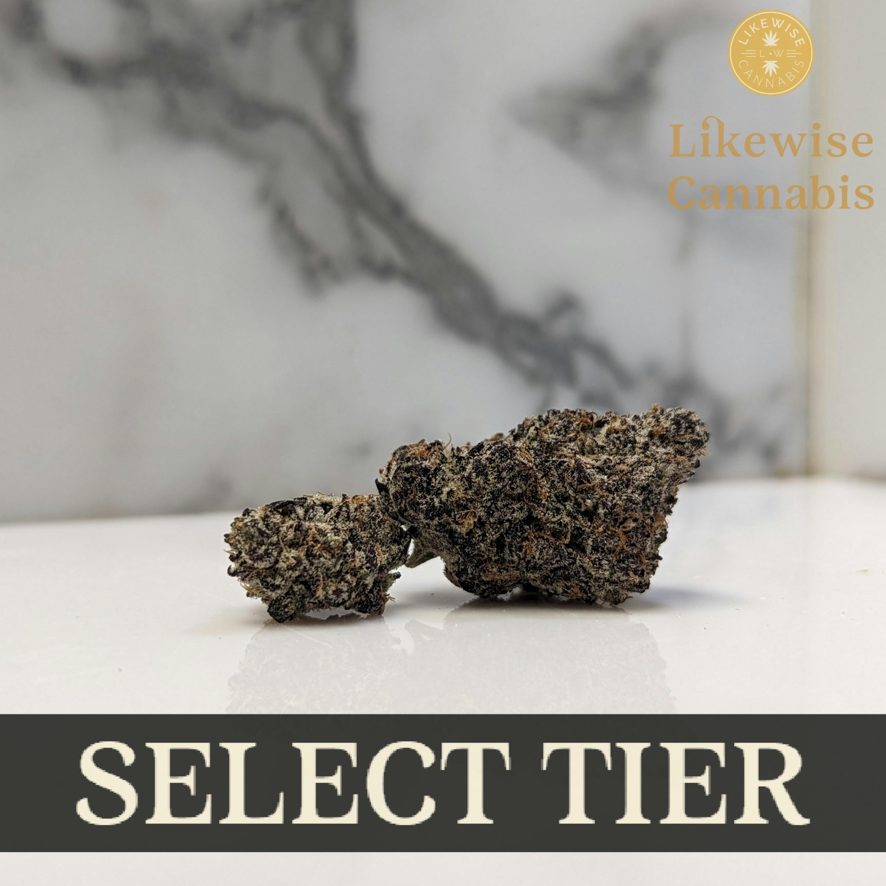 RS11 3.5G - GREEN DYNASTY