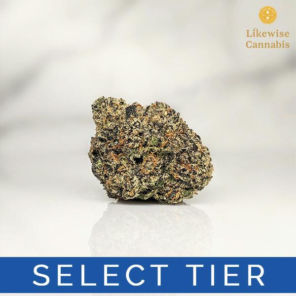 MYLAR MAGIC 3.5G - GREEN DYNASTY