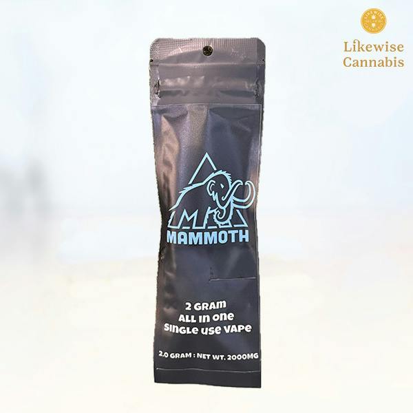 PIRATE PIE 2G CO2 DISPOSABLE - MAMMOTH