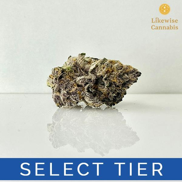 AMERICAN PIE 3.5G - ALL GOOD