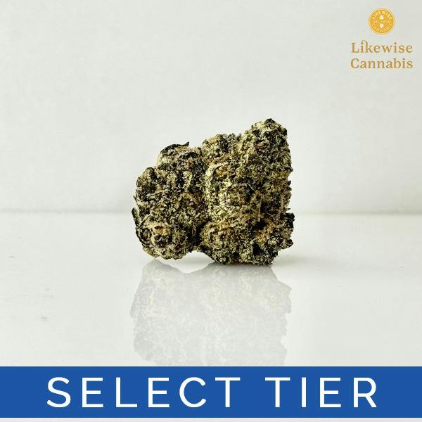 KINGS OF LA 3.5G - GREEN DYNASTY