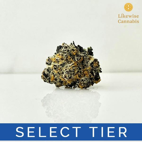 SUGAR HEADS 3.5G - GREEN DYNASTY