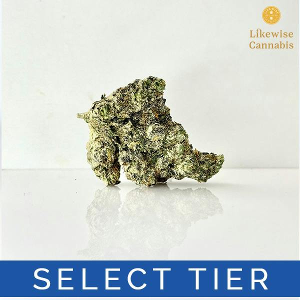 TROPICAL RUNTZ 3.5G (SE) - HIGH PRESSURE COMPANY