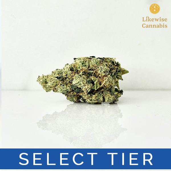 HANK HILL 3.5G - HAPPY CULTIVATORS